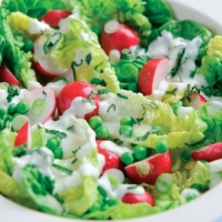 Radish Garden Salad Recipe